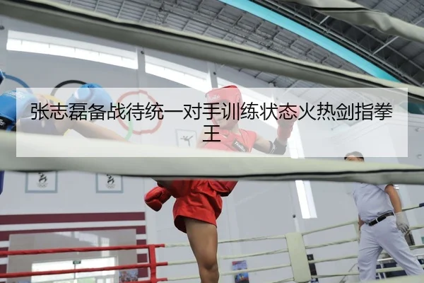 张志磊备战待统一对手训练状态火热剑指拳王