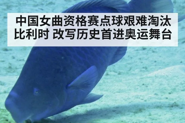 中国女曲资格赛点球艰难淘汰比利时 改写历史首进奥运舞台