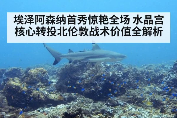 埃泽阿森纳首秀惊艳全场 水晶宫核心转投北伦敦战术价值全解析